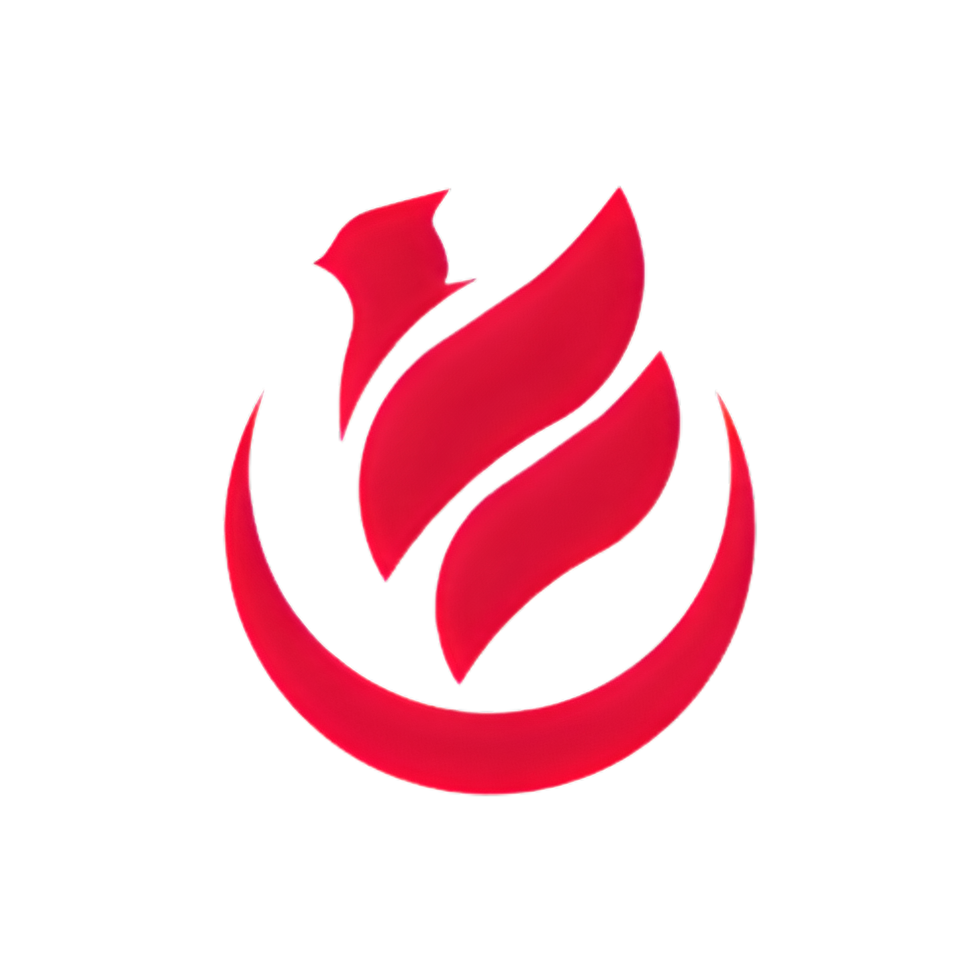 Imagen de encabezado